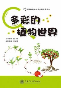 属牛载什么项链