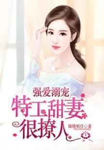 命运2霰弹枪推荐pve