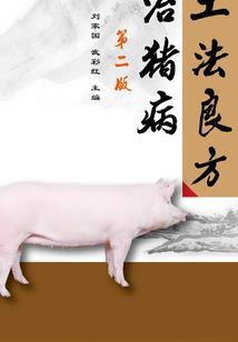 属虎和属兔的车里放什么