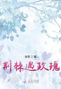 英王内外政策含义