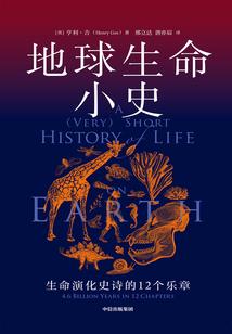 八字福星意思