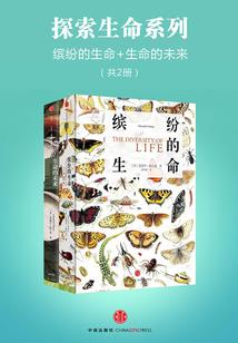 cp滴滴网名比较色
