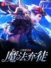 命运2主手武器排名第一