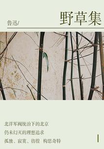 属蛇宝宝特性