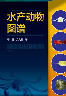孕妇梦见脚上有瘤子