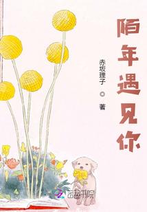 属羊的提名字