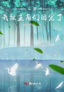 鼻梁代表几岁运势