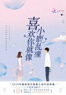 红包运气包