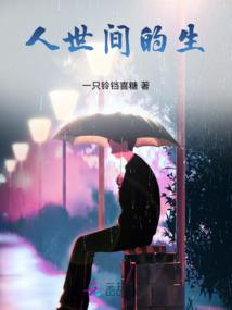 属马是哪年代出生的