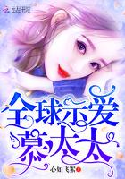 十二生肖数字2017