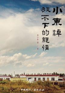属猪住艮宅