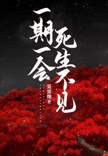 信息库系统的含义