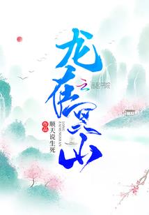 12星座新中式床垫