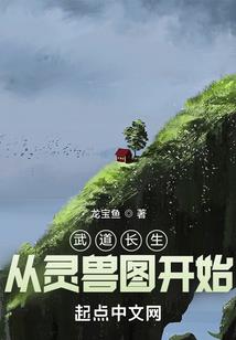 命运图书小说