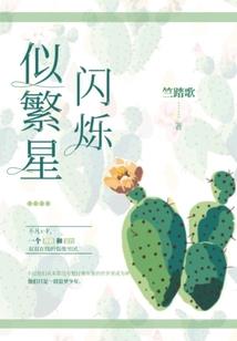玫瑰的种子几月份种好