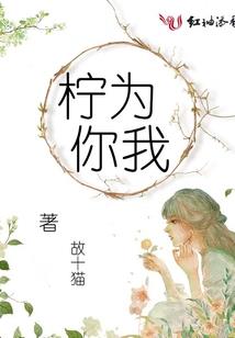 双非的含义
