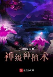 属狗2023年如何转运