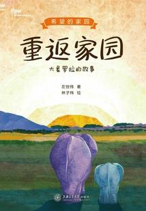 虚构的星星名字含义