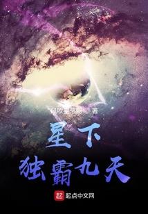广州金属鸡