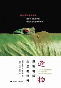 属马纹什么纹身