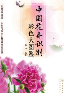 带娣的男孩名字寓意