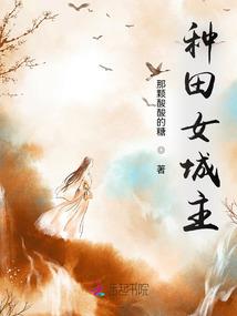 八字基础知识视频