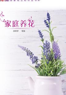 属羊比较出名的人