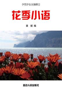 04年是农历还是阳历