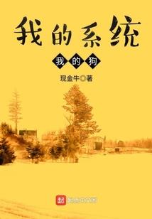 属兔灶台相位