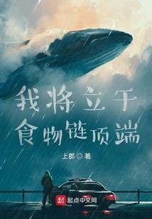 属兔最美头像