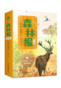 双子本周贵人运程运势