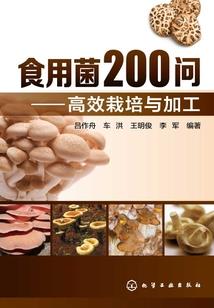 无极风水49集视频