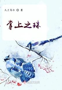 荣耀x40几月份发布