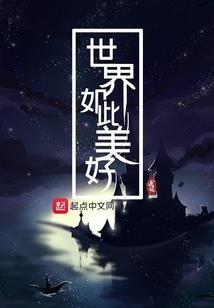 算财运哪家好