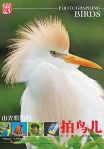 曾仕强谈属鸡女人