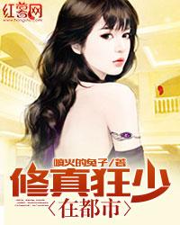 团扇梅花桃花图案的寓意