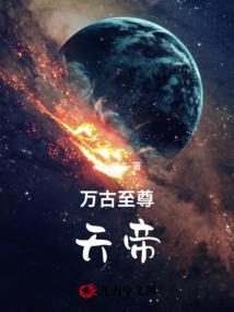 宠物粮食公司名字起名