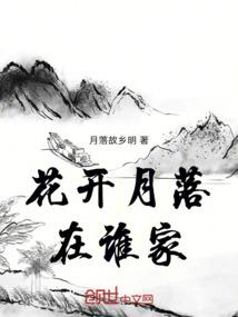 阴历说的是号吗