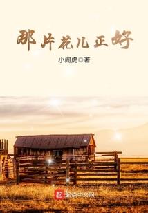 过路黄有什么寓意