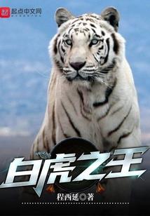 属蛇的家居摆设