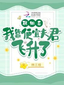 财运宫陀螺