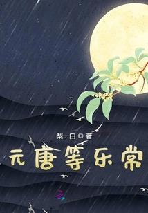 阳历第一年