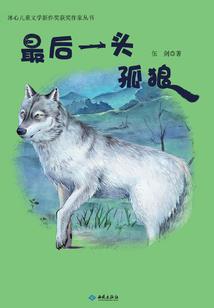 丁取名五行