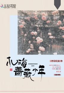 风水北辰华表形状