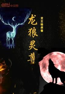 野猪周公解梦大全