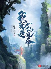 阳历是农历吗新力