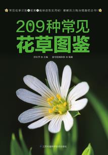 八字如何看流月恋情