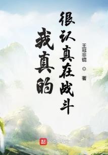 属鼠和属龙的合伙合不合