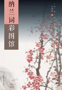 耗属相运势