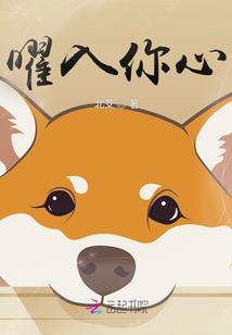 过年的日历是阴历阳历
